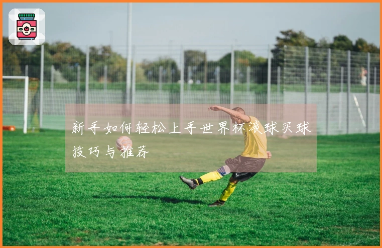 新手如何轻松上手世界杯滚球买球技巧与推荐