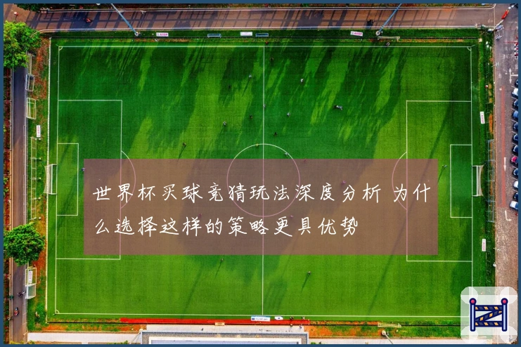 世界杯买球竞猜玩法深度分析 为什么选择这样的策略更具优势
