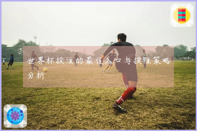 世界杯投注的最佳入口与投注策略分析